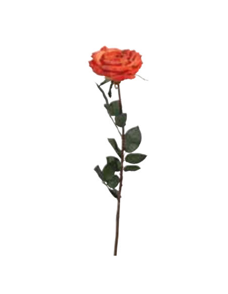 Rosa Coco arancione scuro H81cm