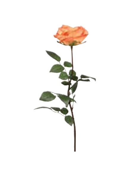 Rosa Coco arancione salmone H81cm