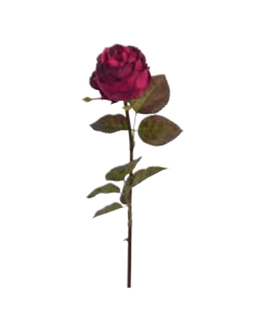 Rosa Suzanne rossa H53cm