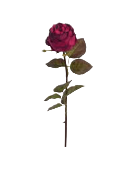 Rosa Suzanne rossa H53cm