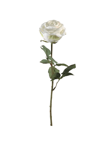 Rosa Tamara bianca H66cm