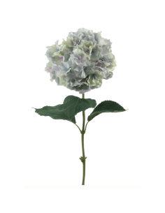 Ortensia blu H90cm