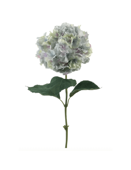 Ortensia blu H90cm