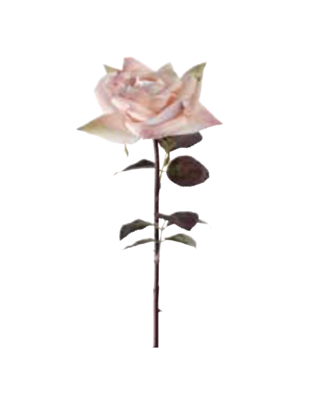 Rosa Frida rosa chiaro H53cm