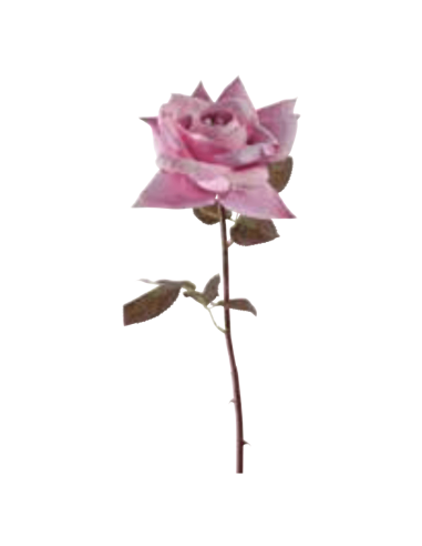 Rosa Frida rosa H53cm