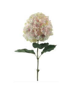 Ortensia rosa H90cm