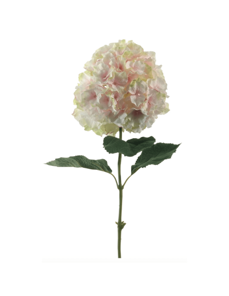 Ortensia rosa H90cm