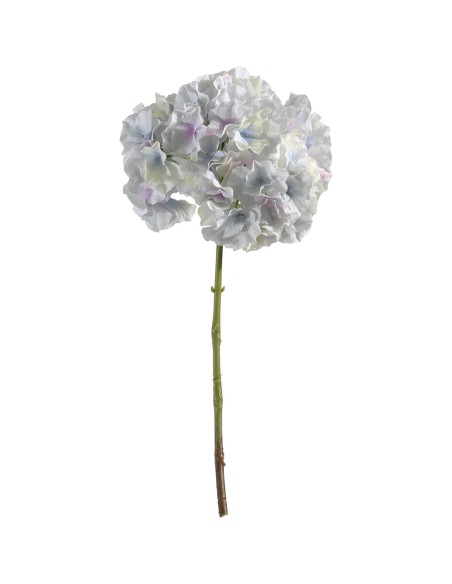 Ortensia turchese h 45