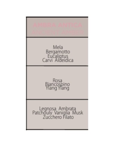 Muhà - Confezione Rosa 100ml + Spray 100ml Ambra Antica - Cofanetto con Diffusore e Spray
