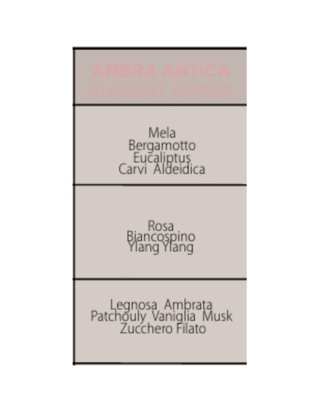 Muhà - Confezione Rosa 100ml + Spray 100ml Ambra Antica - Cofanetto con Diffusore e Spray