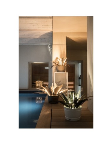 Arti & Mestieri - Lampada da terra pianta felce grande Beige Avorio Ø100x50h