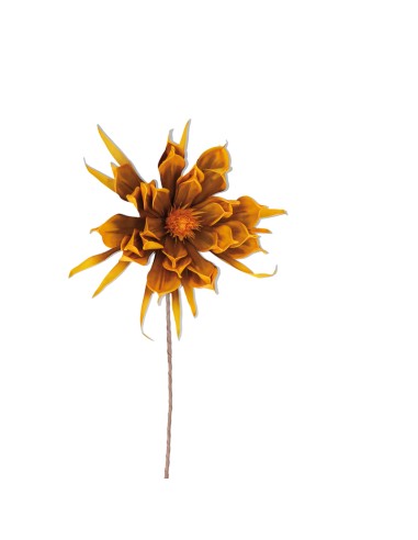 Rituali Domestici - Giallo Omega Flora H90 Cm