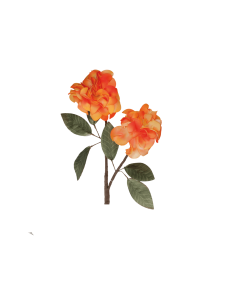 Rituali Domestici - Rituali Domestici Linea Flora Rosa Arancione Artificiale in Lattice Cm 94 H
