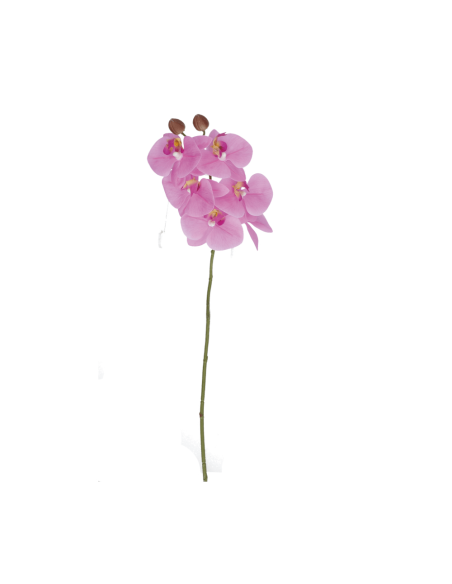 Rituali Domestici - Rituali Domestici Linea Veronica Orchidea Rosa Real Touch Cm 58 H