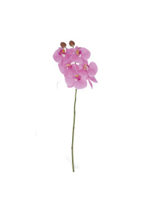 Rituali Domestici - Rituali Domestici Linea Veronica Orchidea Rosa Real Touch Cm 58 H 2