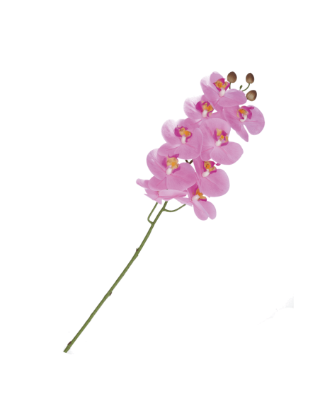 Rituali Domestici - Rituali Domestici Linea Veronica Orchidea Rosa Real Touch Cm 91 H