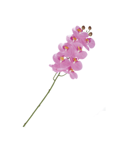 Rituali Domestici - Rituali Domestici Linea Veronica Orchidea Rosa Real Touch Cm 91 H