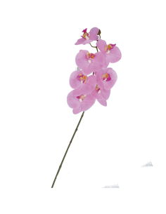 Rituali Domestici - Rituali Domestici Linea Veronica Orchidea Rosa Real Touch Cm 79 H