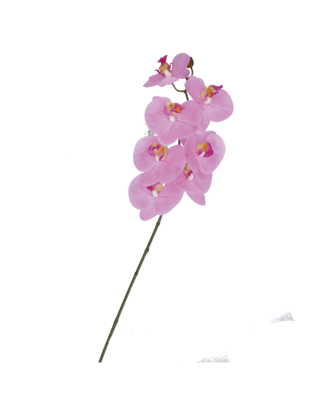 Rituali Domestici - Rituali Domestici Linea Veronica Orchidea Rosa Real Touch Cm 79 H