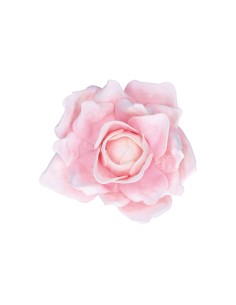Rituali Domestici - Rituali Domestici - Rosa Rosa da Appendere Linea ''flora'' Ø 30 Cm