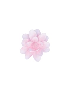 Rituali Domestici - Rituali Domestici - Rosa Loto da Appendere Linea ''flora'' Ø 20 Cm 2