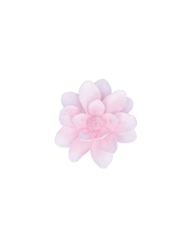 Rituali Domestici - Rituali Domestici - Rosa Loto da Appendere Linea ''flora'' Ø 20 Cm