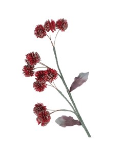 Rituali Domestici - Rituali Domestici - Rosso + Glitter Oro Callicarpa Flora H 105 Cm