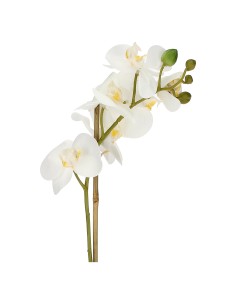 Rituali Domestici - Veronica Zolla con Orchidee Bianche S Plastica 40 CM, ZOLLA Ø 6 2