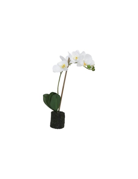 Rituali Domestici - Veronica Zolla con Orchidee Bianche S Plastica 40 CM, ZOLLA Ø 6