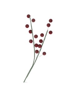 Rituali Domestici - Litchi Rosso 2