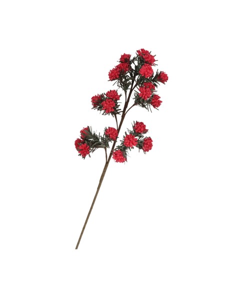 Rituali Domestici - Ginepro Rosso