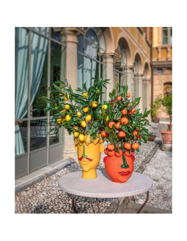 Rituali Domestici - Fiorile Ramo Mandarini Pvc h88 Cm