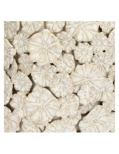 Rituali Domestici - Fiorinfiorello Cachepot S Bianco