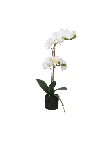 Rituali Domestici - Veronica Zolla con Orchidee Bianche M Plastica 49 CM, ZOLLA Ø 8
