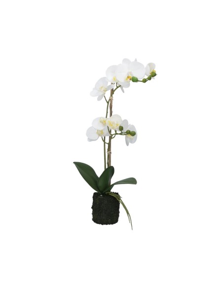 Rituali Domestici - Veronica Zolla con Orchidee Bianche M Plastica 49 CM, ZOLLA Ø 8