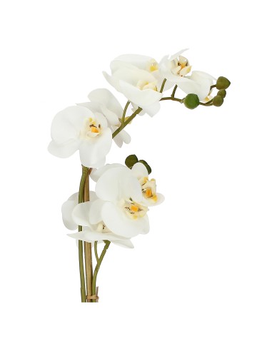 Rituali Domestici - Veronica Zolla con Orchidee Bianche M Plastica 49 CM, ZOLLA Ø 8