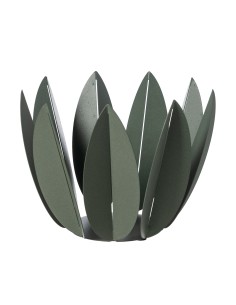 Arti & Mestieri - Agrumiera Ficus-verde salvia 27,6 x 23H cm 2