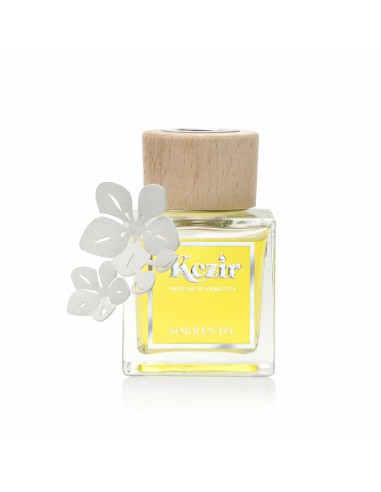 Arti & Mestieri - Diffusore Ambiente Sorrento Fior di loto-avorio 100 ml