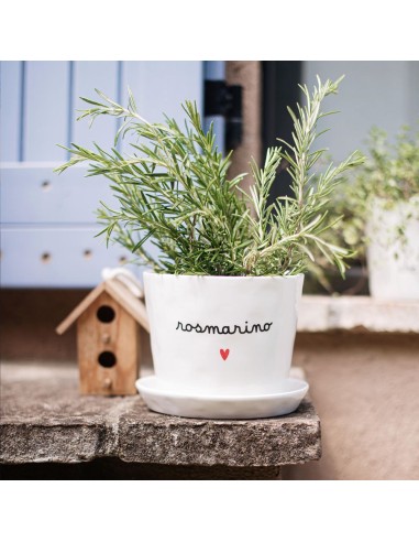 Simple Day - Vaso D15x12cm Rosmarino Cuore