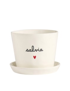 Simple Day - Vaso D15x12cm Salvia Cuore 2