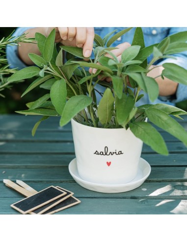 Simple Day - Vaso D15x12cm Salvia Cuore