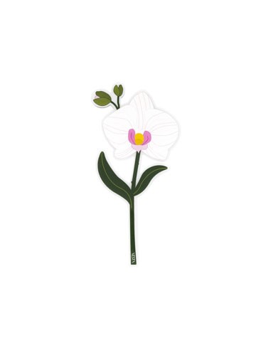 Vesta Home - Bomboniera - Orchidea Kit 6 Pz·bianco·9,9 X 20,4 H Th. 3 Mm