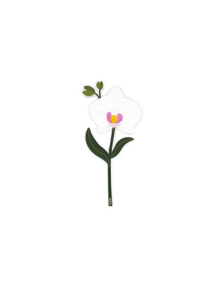 Vesta Home - Bomboniera - Orchidea Kit 6 Pz·bianco·9,9 X 20,4 H Th. 3 Mm