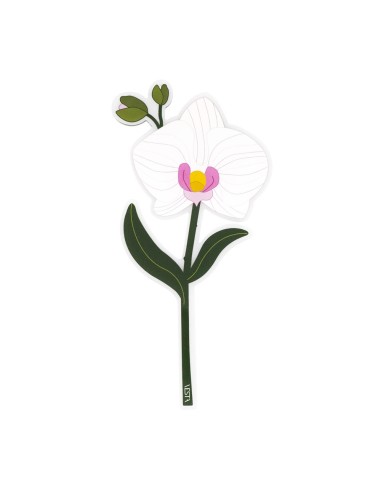 Vesta Home - Bomboniera - Orchidea Kit 6 Pz·bianco·9,9 X 20,4 H Th. 3 Mm