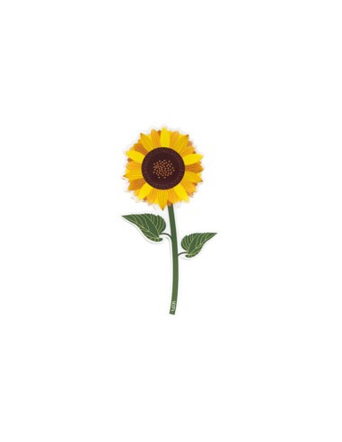 Vesta Home - Bomboniera - Girasole Kit 6 Pz·giallo·10,5 X 20,2 H Th. 3 Mm