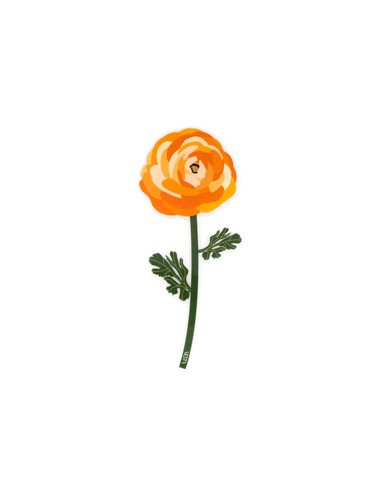 Vesta Home - Bomboniera - Ranuncolo Kit 6 Pz·arancione·8,9 X 20,1 H Th. 3 Mm