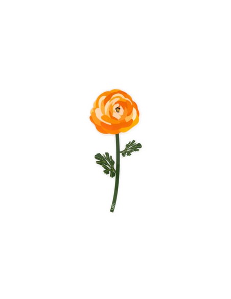 Vesta Home - Bomboniera - Ranuncolo Kit 6 Pz·arancione·8,9 X 20,1 H Th. 3 Mm