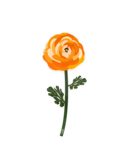 Vesta Home - Bomboniera - Ranuncolo Kit 6 Pz·arancione·8,9 X 20,1 H Th. 3 Mm