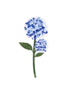 Vesta Home - Bomboniera - Ortensia Kit 6 Pz·blu·10,6 X 21 H Th. 3 Mm