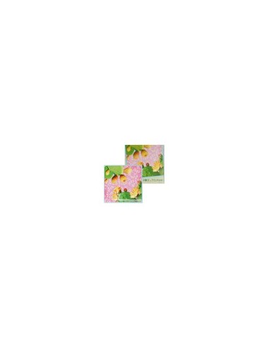 Rose e Tulipani·country Life Sottopentola Fichi D'india 20x20 Cm in Gift Box